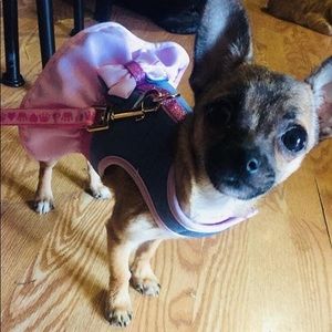 Meet your Posher, Devonna